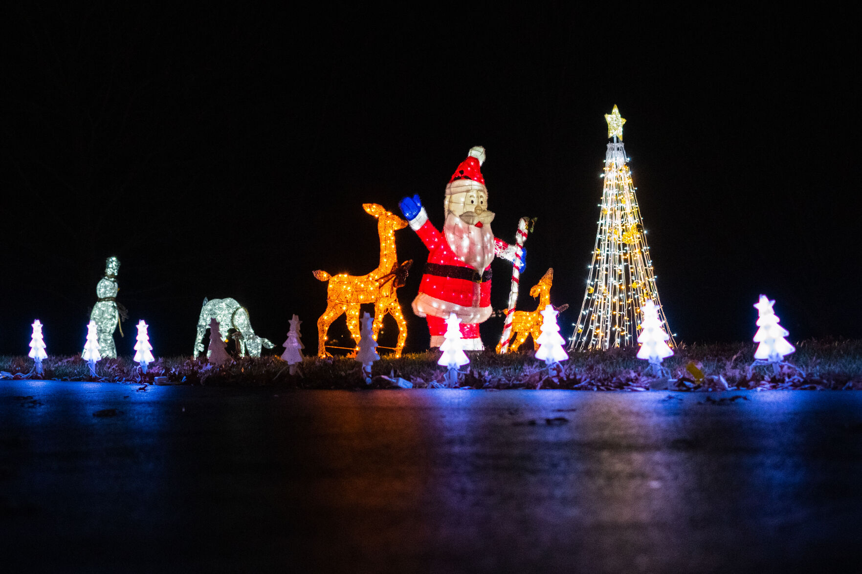 photo_ft_news_xmas lights movern lane-2.jpg